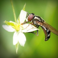 /album/lokome/photolia-a02-jpg/