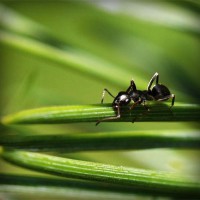 /album/lokome/photolia-a05-jpg/