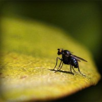 /album/lokome/photolia-a07-jpg/